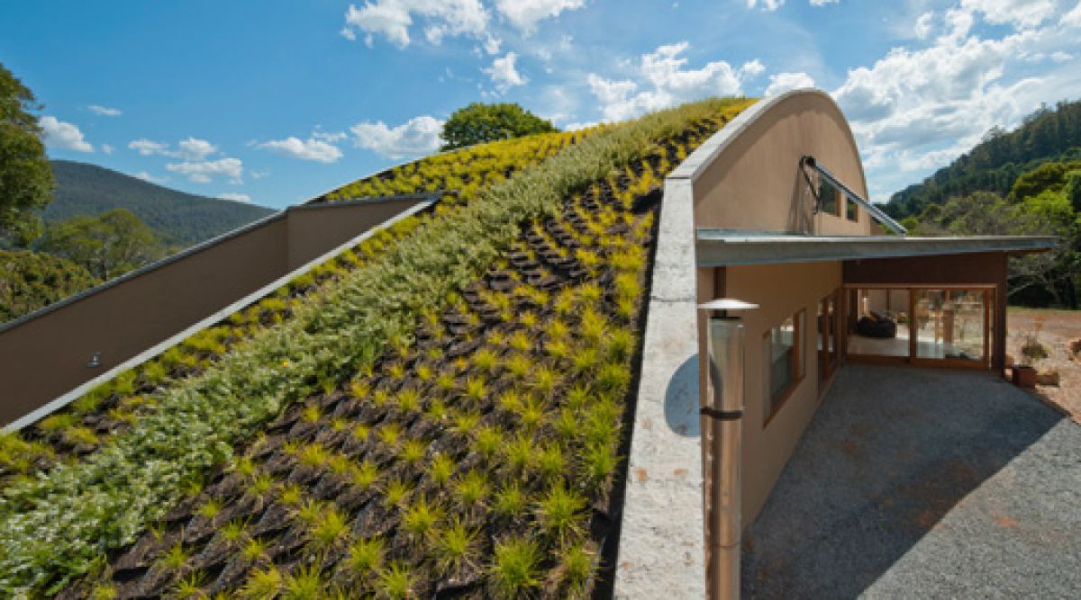 Green Roofs