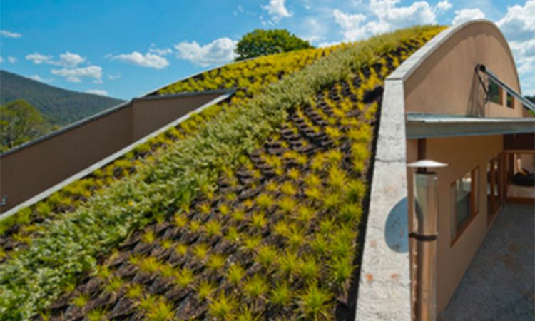 Green Roofing Expertise