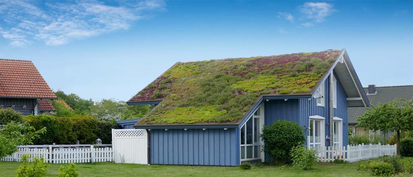 Green Roofing Expertise