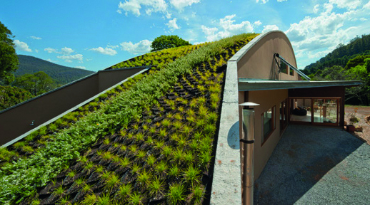 Warburton Green Roof 06